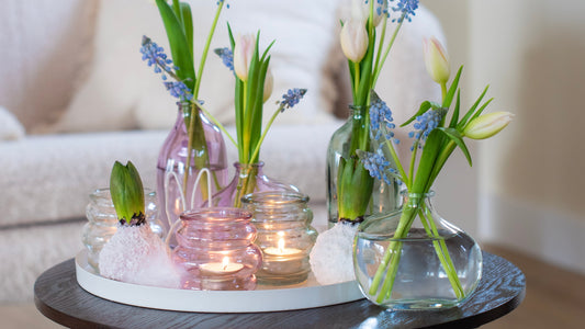 Onze Frisse North Chic Collectie πΈ