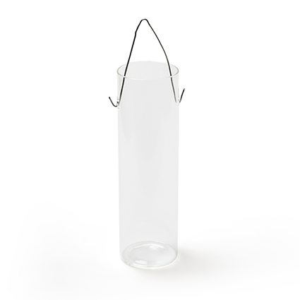 Glass tube 'bloom' h20 d6 cm