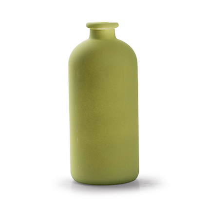 Bottlevase 'jardin' green h25 d11 cm